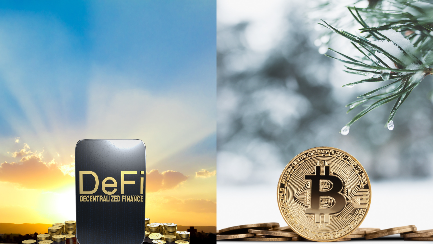 DeFi summer and crypto winter