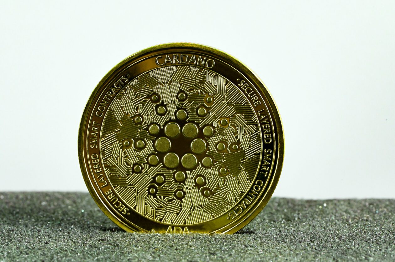 Physical representation of Cardano's ADA cryptocurrency propped on a sandy surface.